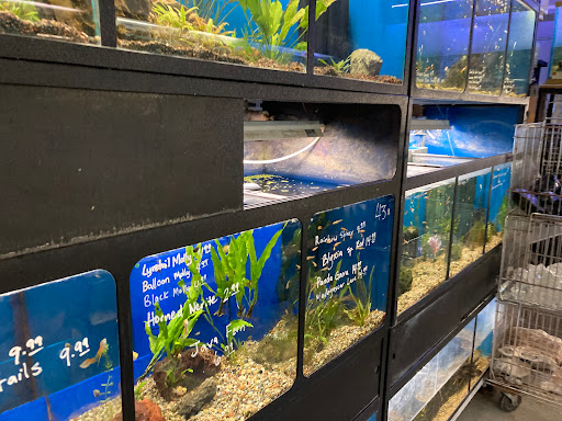 Pet Store «Sierra Fish and Pets», reviews and photos, 601 S Grady Way Suite M, Renton, WA 98057, USA