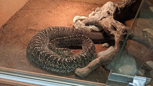 Zoo «Reptile Zoo», reviews and photos, 22715 US-2, Monroe, WA 98272, USA