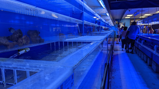 Tropical Fish Store «Marine Warehouse Aquarium», reviews and photos, 8021 W Hillsborough Ave, Tampa, FL 33615, USA