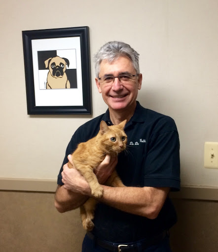 Dr. Daniel Belli, VMD image