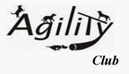 Agility club Tossuts