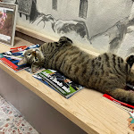 Photo n°1 de l'avis de Jonathan.i fait le 14/06/2023 à 19:49 sur le  Casa Del Popolo Uliveto Terme à Uliveto Terme