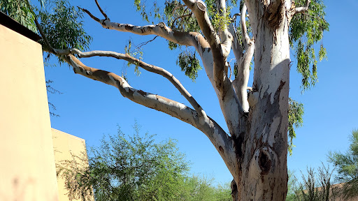 History Museum «Pueblo Grande», reviews and photos, 4619 E Washington St, Phoenix, AZ 85034, USA