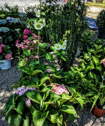 Florist «Chaves Gardens Inc», reviews and photos, 935 E Main Rd, Middletown, RI 02842, USA