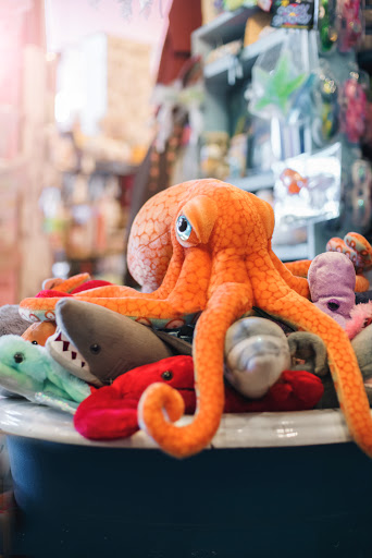 Gift Shop «Talulah Jones», reviews and photos, 1122 E 17th Ave, Denver, CO 80218, USA