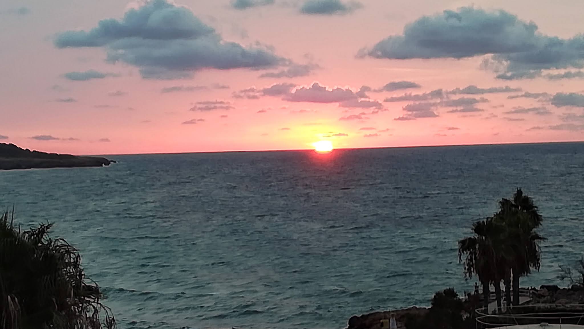 Photo n° 1 de l'avis de Michel.c fait le 31/07/2021 à 06:14