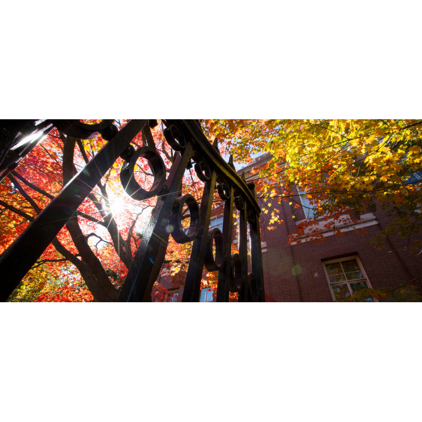 Harvard University Wrestling