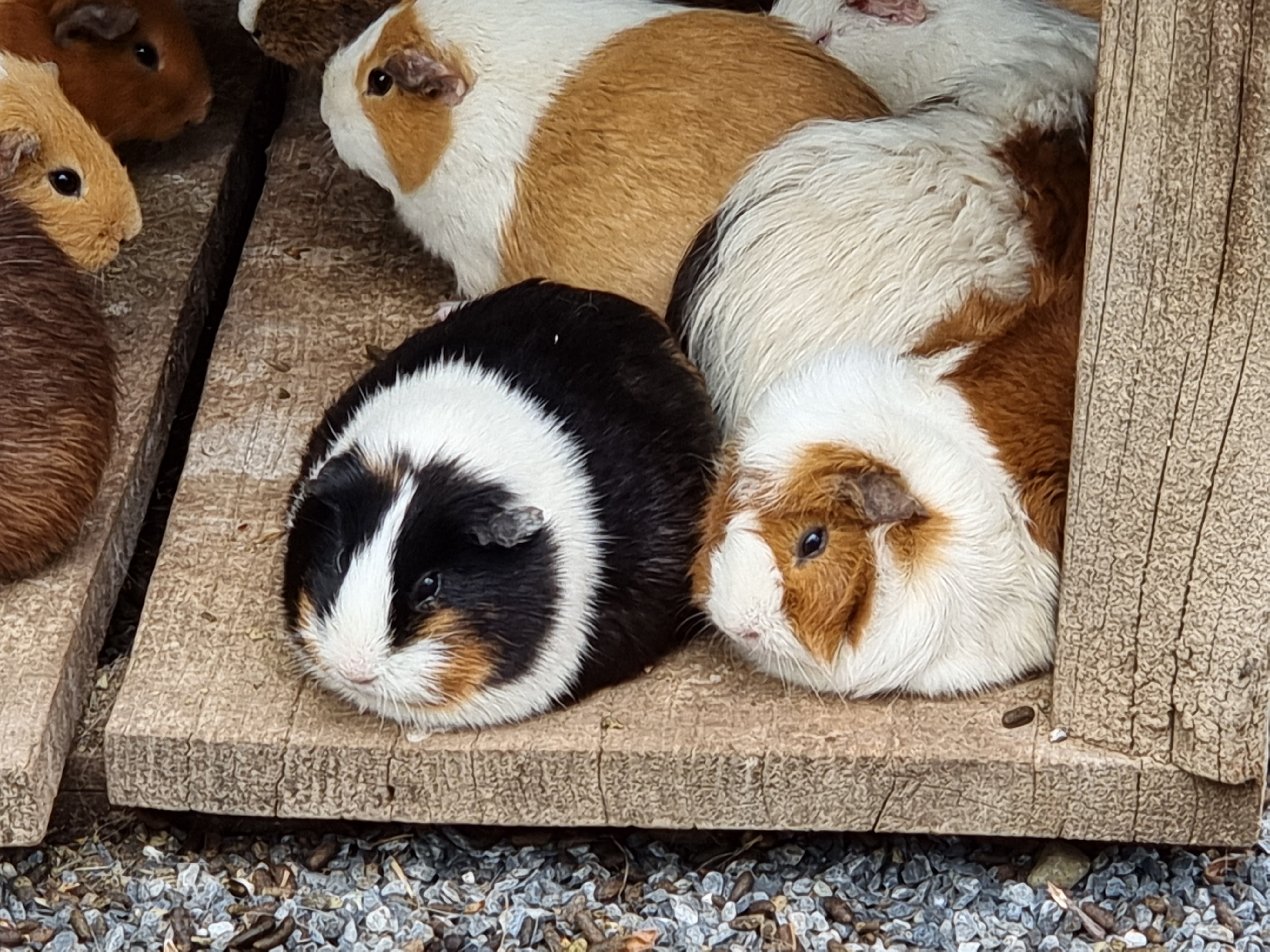 Photo n° 7 de l'avis de Noel.l fait le 12/04/2022 à 13:30