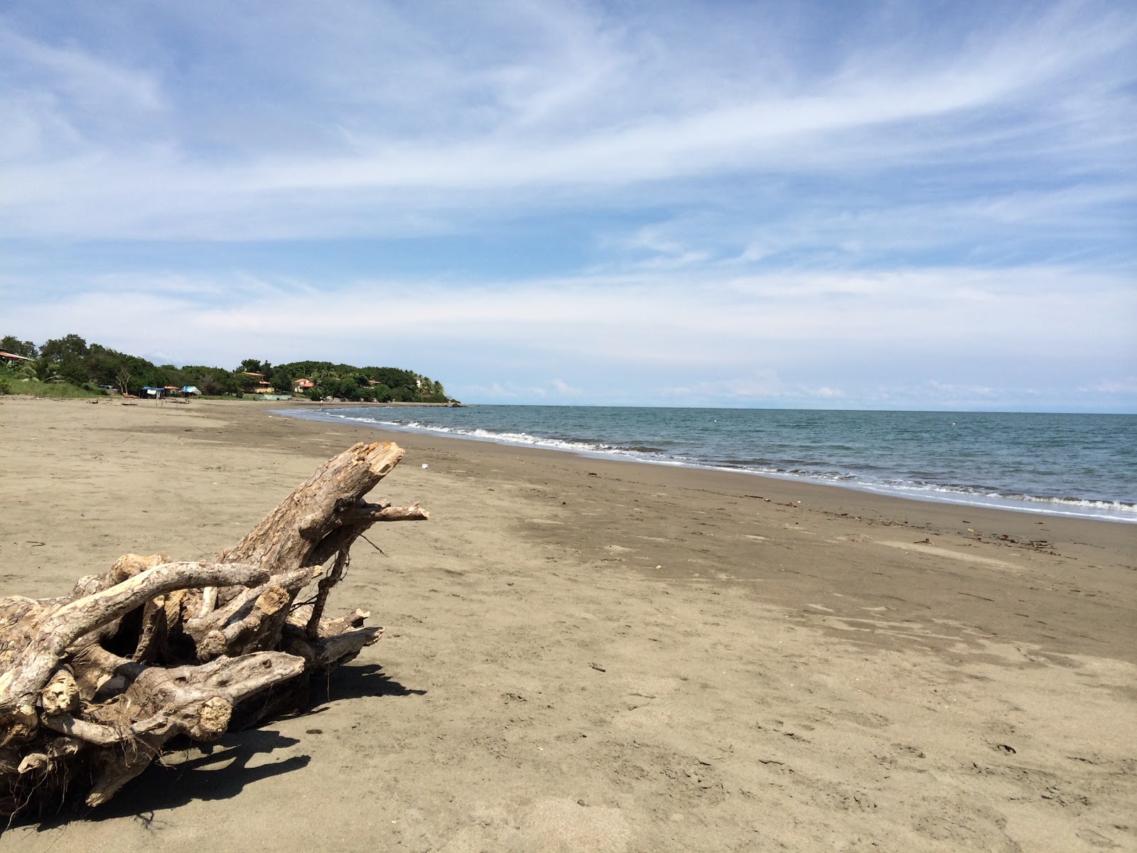 Photo de Estero Beach avec sable brun de surface