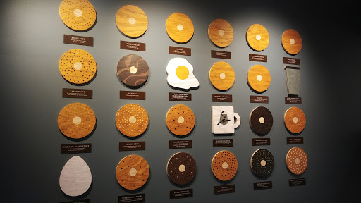 Bagel Shop «Einstein Bros. Bagels», reviews and photos, 900 Duluth Hwy Suite 500, Lawrenceville, GA 30043, USA