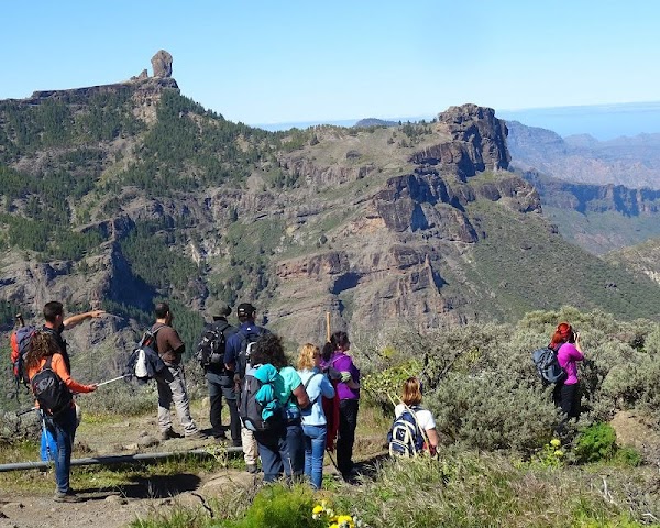 Imagen de Arawak Canarias (2 de 10)