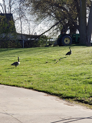 Memorial Park «Veterans Memorial Park», reviews and photos, 32400 Jefferson Ave, St Clair Shores, MI 48082, USA