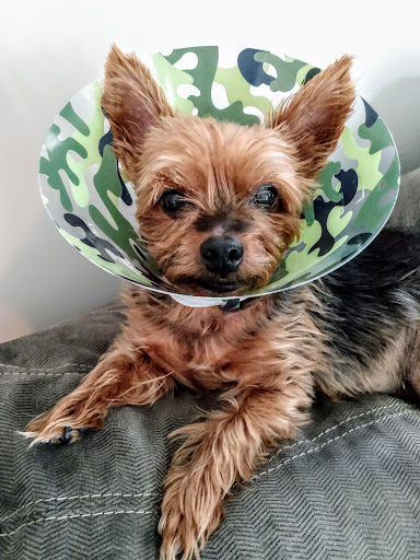 304 N Chester Pike, Glenolden, PA 19036, USA