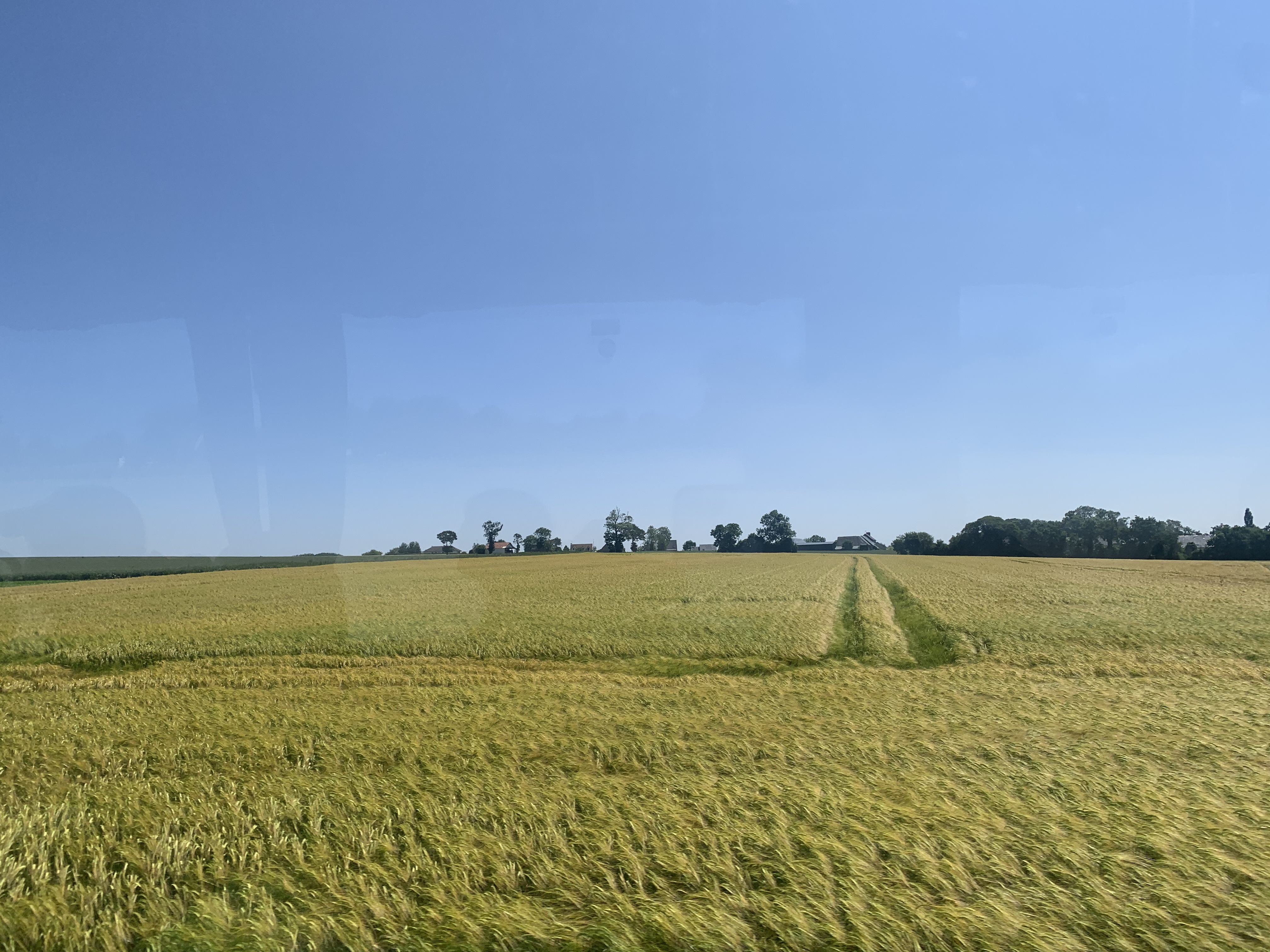 Photo n° 10 de l'avis de R.e fait le 03/06/2023 à 15:52