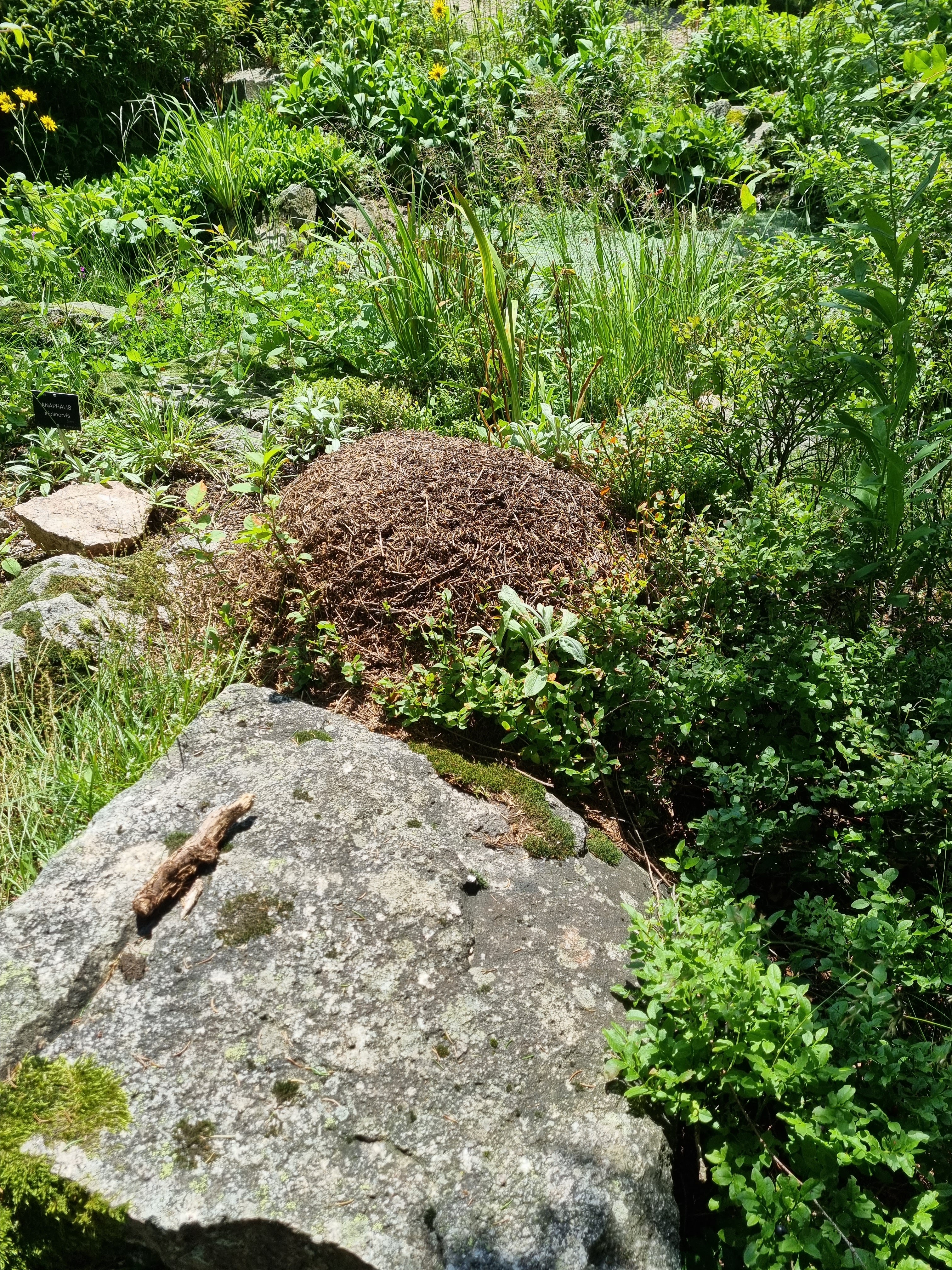 Photo n° 5 de l'avis de Jean.i fait le 26/07/2021 à 19:26