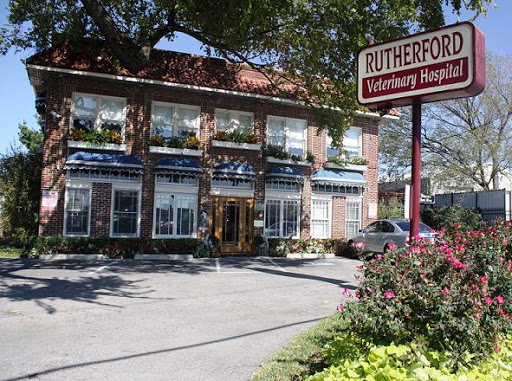 924 S Haskell Ave, Dallas, TX 75223, USA