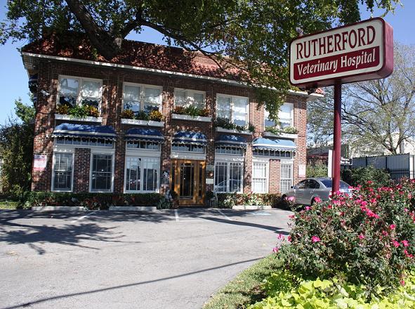 Rutherford Veterinary Hospital