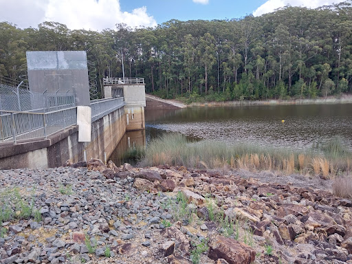 Cooloolabin Dam - Day Use Area