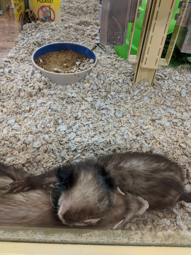 Pet Supply Store «Pet Supermarket, Inc.», reviews and photos, 598 N McCarran Blvd, Sparks, NV 89431, USA