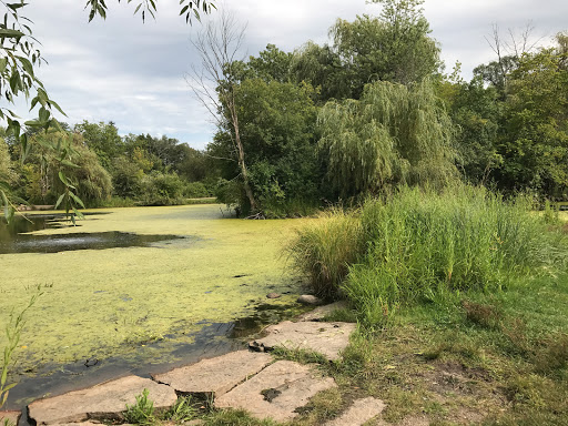 Nature Preserve «Wildwood Nature Center», reviews and photos, 529 Forestview Ave, Park Ridge, IL 60068, USA
