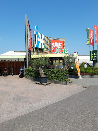 Winkels om kamerplanten te kopen Rotterdam