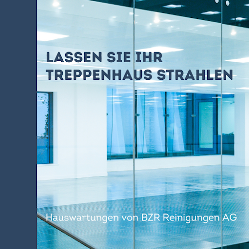 Rezensionen über BZR Reinigung AG in Frauenfeld - Andere