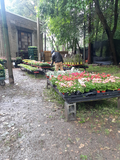 Garden Center «Chestnut Hill Flower & Garden», reviews and photos, 7639 Germantown Ave, Philadelphia, PA 19118, USA