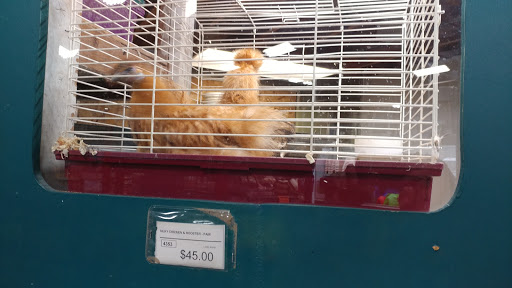 Pet Supply Store «Pet Supreme», reviews and photos, 12823 Foothill Blvd, Sylmar, CA 91342, USA