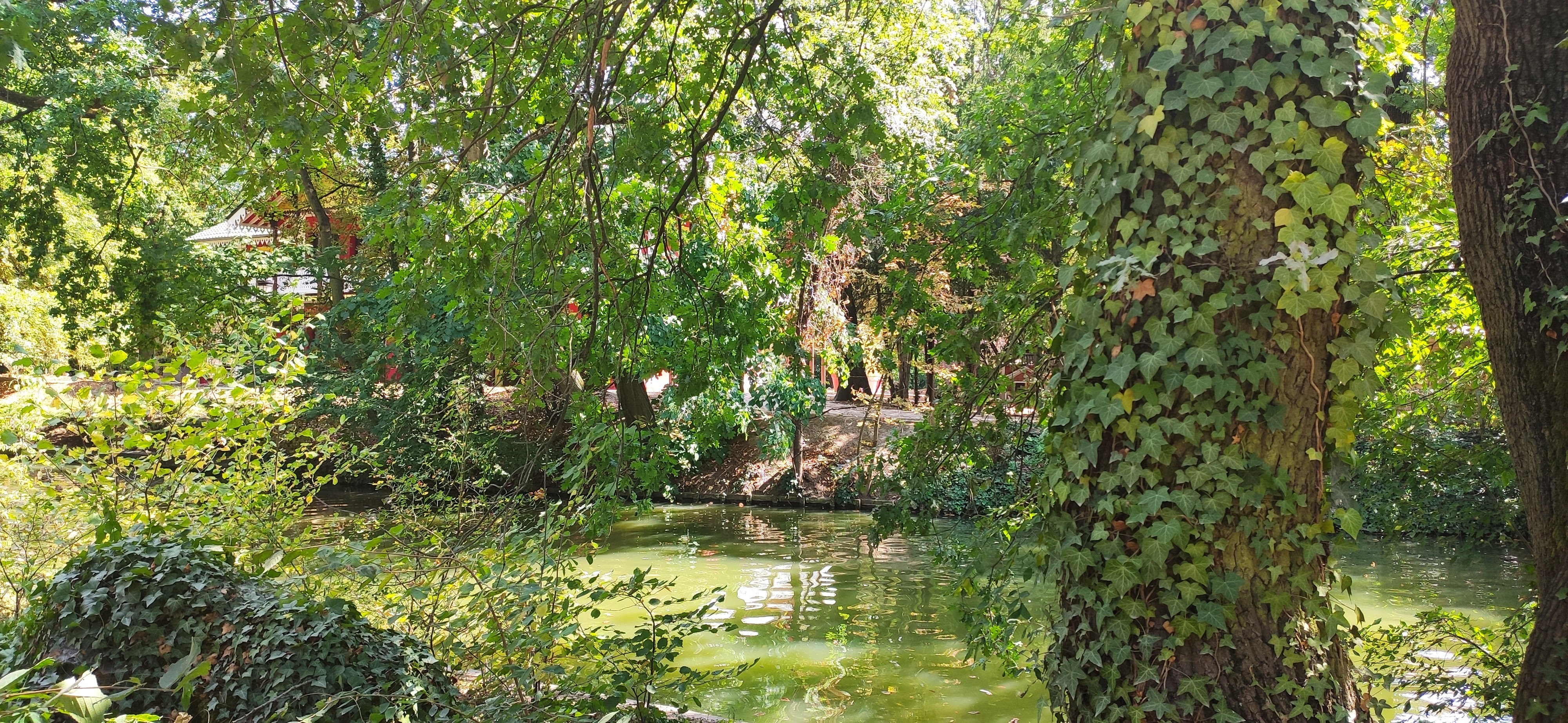 Photo n° 9 de l'avis de reg.a fait le 10/08/2020 à 08:51