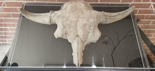 Natural History Museum «Joseph Moore Museum», reviews and photos, 801 National Rd W, Richmond, IN 47374, USA