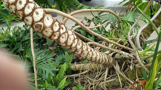 Botanical Garden «Roger Williams Park Botanical Center», reviews and photos, 1000 Elmwood Avenue, Providence, RI 02905, USA