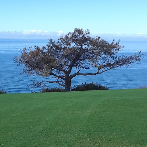 Golf Course «Torrey Pines Golf Course», reviews and photos, 11480 N Torrey Pines Rd, La Jolla, CA 92037, USA