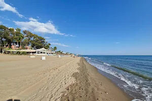 Playa del Alicate image
