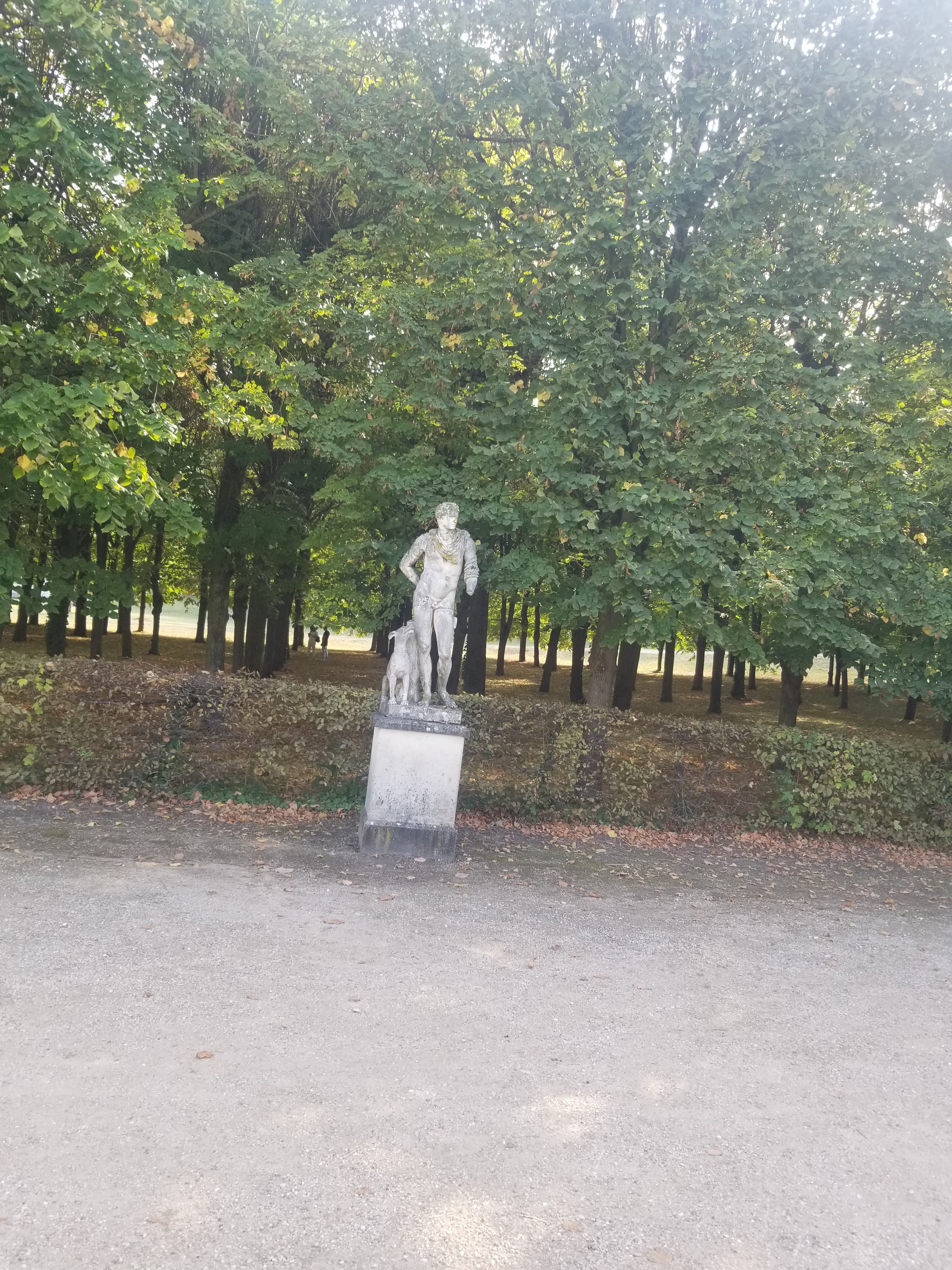 Photo n° 13 de l'avis de dary. fait le 20/09/2020 à 15:00