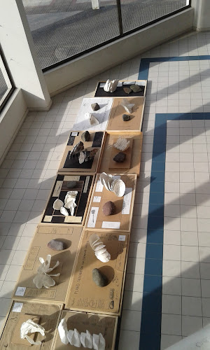 Teléfono de Escuela de Arquitectura UNAP