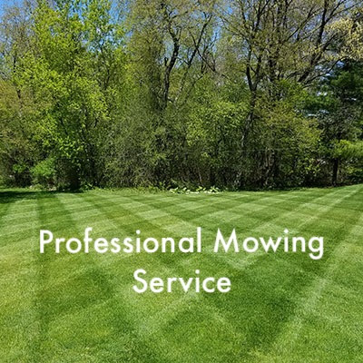 Professional Mowing Service