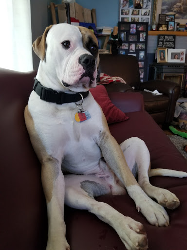 Pet Supply Store «All Natural Pet Supply», reviews and photos, 10501 NE Hwy 99 # 39, Vancouver, WA 98686, USA