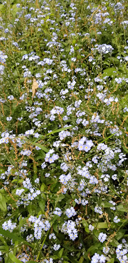 History Museum «Bush House Museum», reviews and photos, 600 Mission St SE, Salem, OR 97302, USA