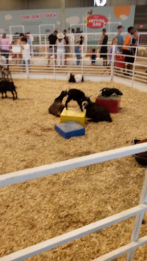 Grocery Store «T C Grocery», reviews and photos, 5109 Bexar St, Dallas, TX 75215, USA