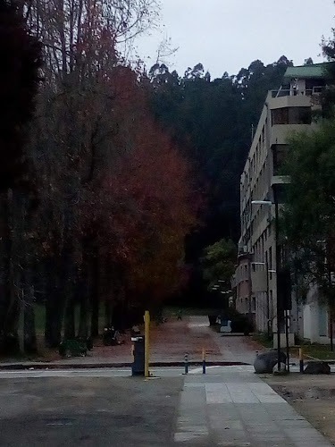 Victoria 528, Concepción, Bío Bío, Chile