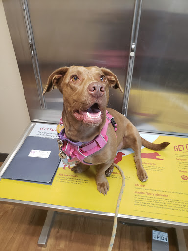 Animal Hospital «Animal Medical Corpus Christi», reviews and photos, 6822 Everhart Rd, Corpus Christi, TX 78413, USA