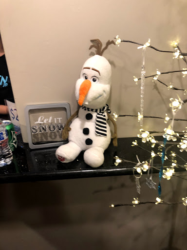 Performing Arts Theater «Fountain Hills Theater», reviews and photos, 11445 N Saguaro Blvd, Fountain Hills, AZ 85268, USA