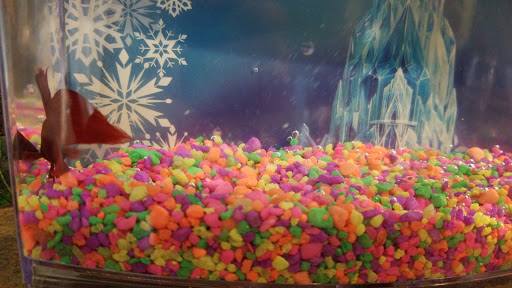 Pet Supply Store «Petco Animal Supplies», reviews and photos, 702 S Randall Rd, Algonquin, IL 60102, USA