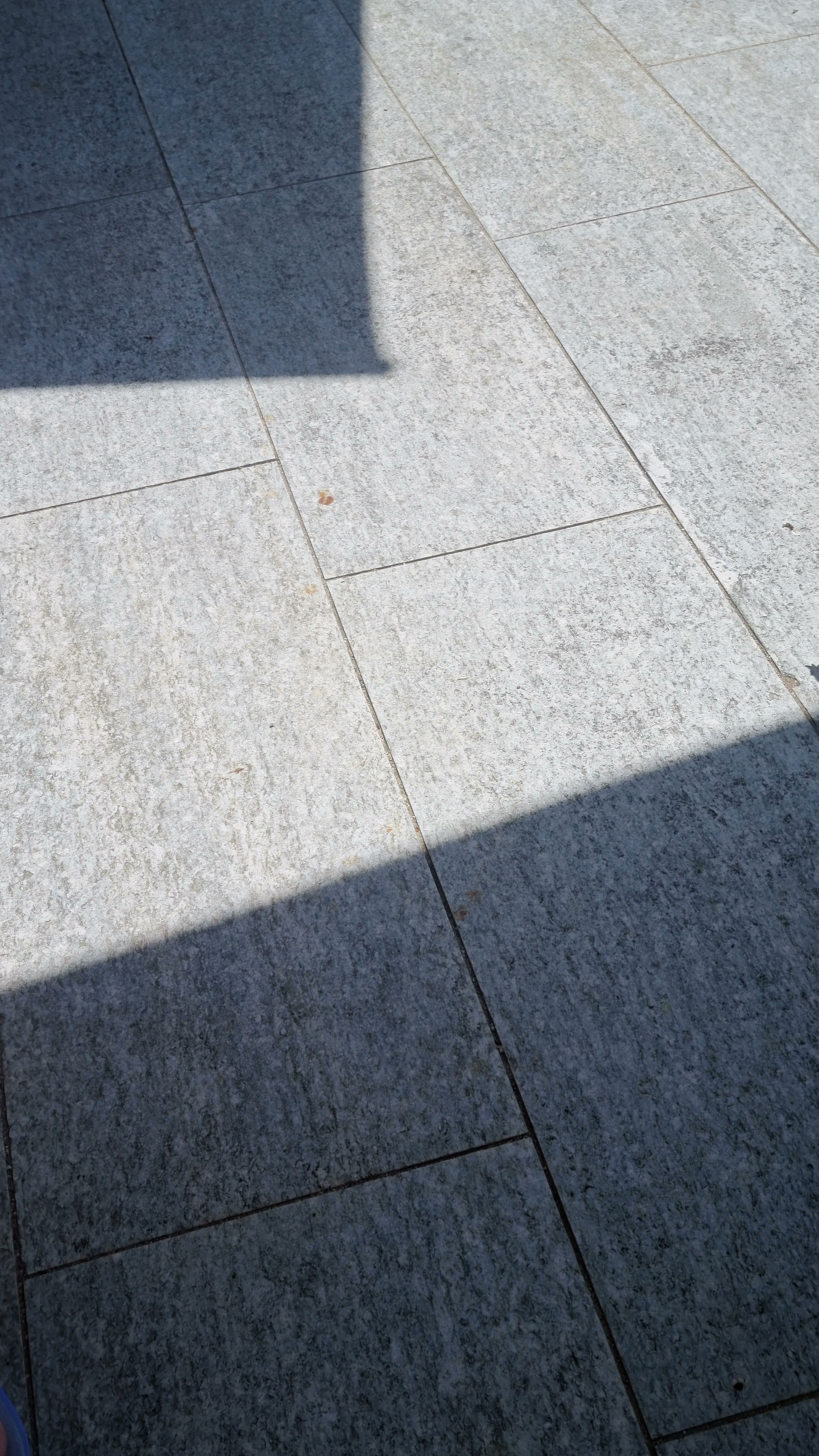 Photo n° 18 de l'avis de Stéphane.a fait le 14/07/2023 à 04:42