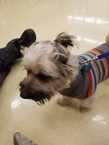 Pet Supply Store «Petco Animal Supplies», reviews and photos, 8551 S Howell Ave, Oak Creek, WI 53154, USA