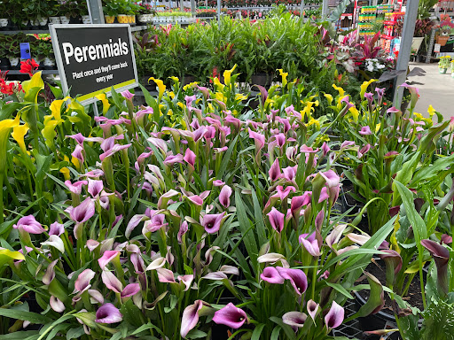 Home Improvement Store «The Home Depot», reviews and photos, 6400 Peachtree Dunwoody Rd, Sandy Springs, GA 30328, USA