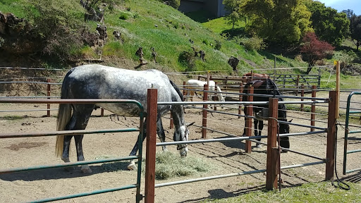 Skyline Ranch Equestrian Center