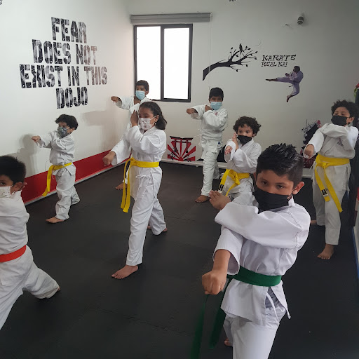 Club de karate Mérida