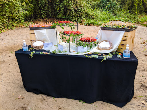 Brauns Catering Company image
