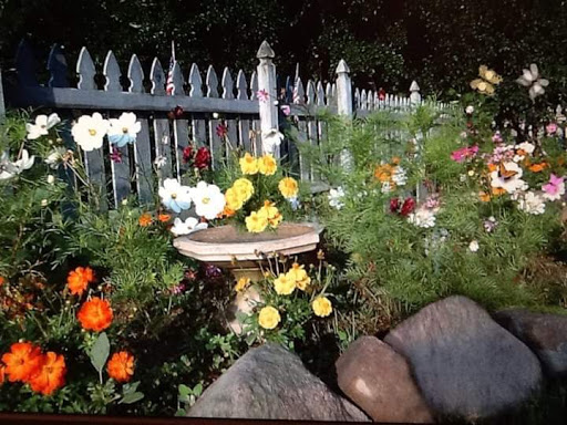 Pet Supply Store «Pet Supplies Plus», reviews and photos, 227 W Merrick Rd, Valley Stream, NY 11580, USA